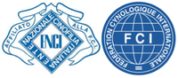 Logo Enci FCI
